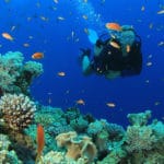 Bali-scuba-diving-900x600