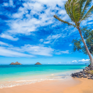 Support Breast Cancer - Hawaii Opportunity Trip